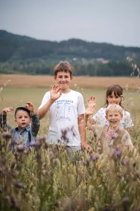 Fotka č.711