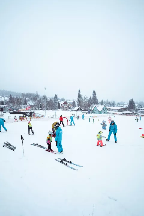 Fotka č.420